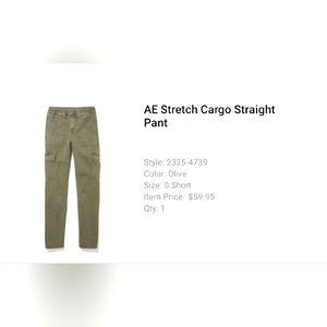 America Eagle Stretch Cargo Straight Pant